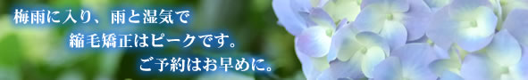 �~�J�̑O�Ƀ����[�̏k�ы������I���R�ȏk�ы����Ɏd�グ�܂��B